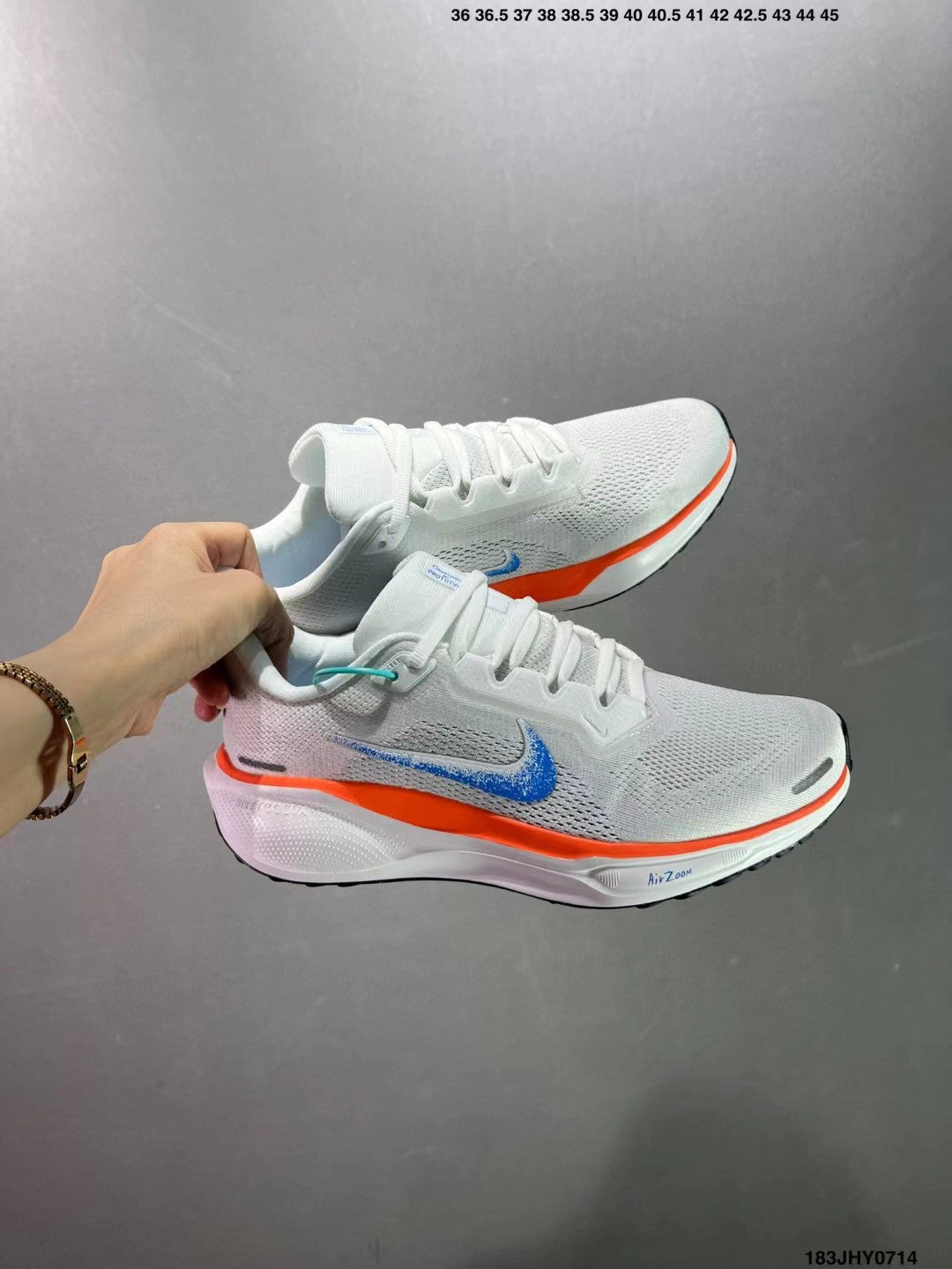 Nike Pegasus 41 Blueprint