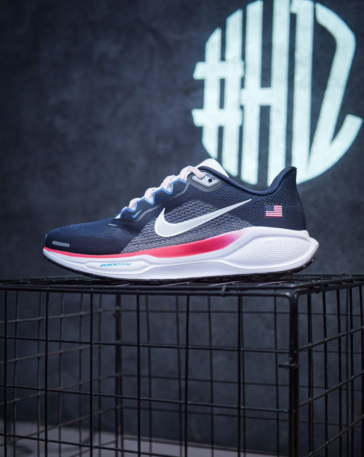 Nike Air Zoom Pegasus 41